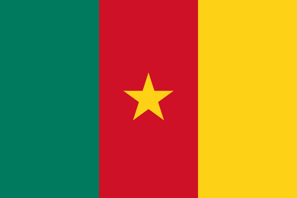 Réseau de distributeurs Origalys Électrochimie au Cameroun