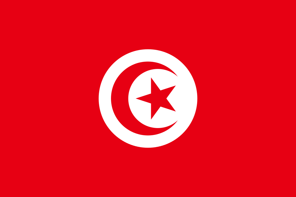 Réseau de distribution Origalys Electrochimie en Tunisie