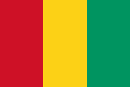 Réseau de distribution Origalys Electrochimie en Guinée