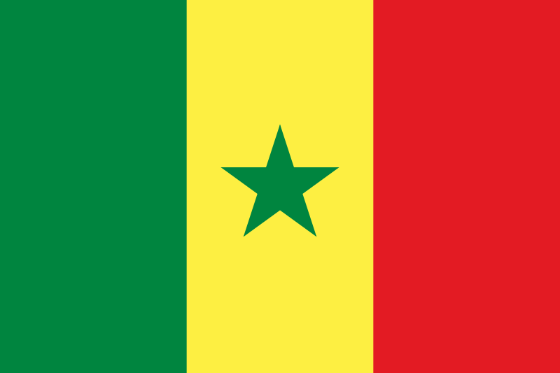 Réseau de distribution Origalys Electrochimie au Sénégal